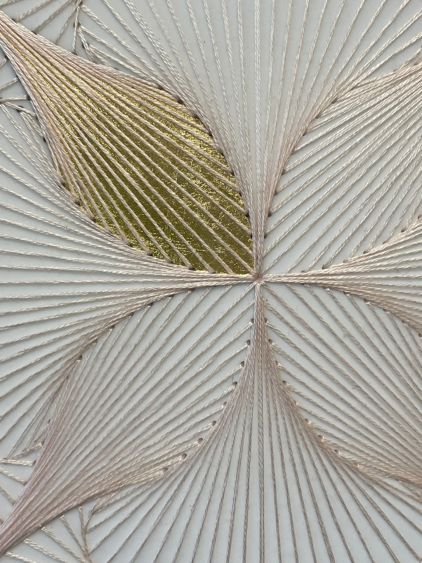 Peach Lotus