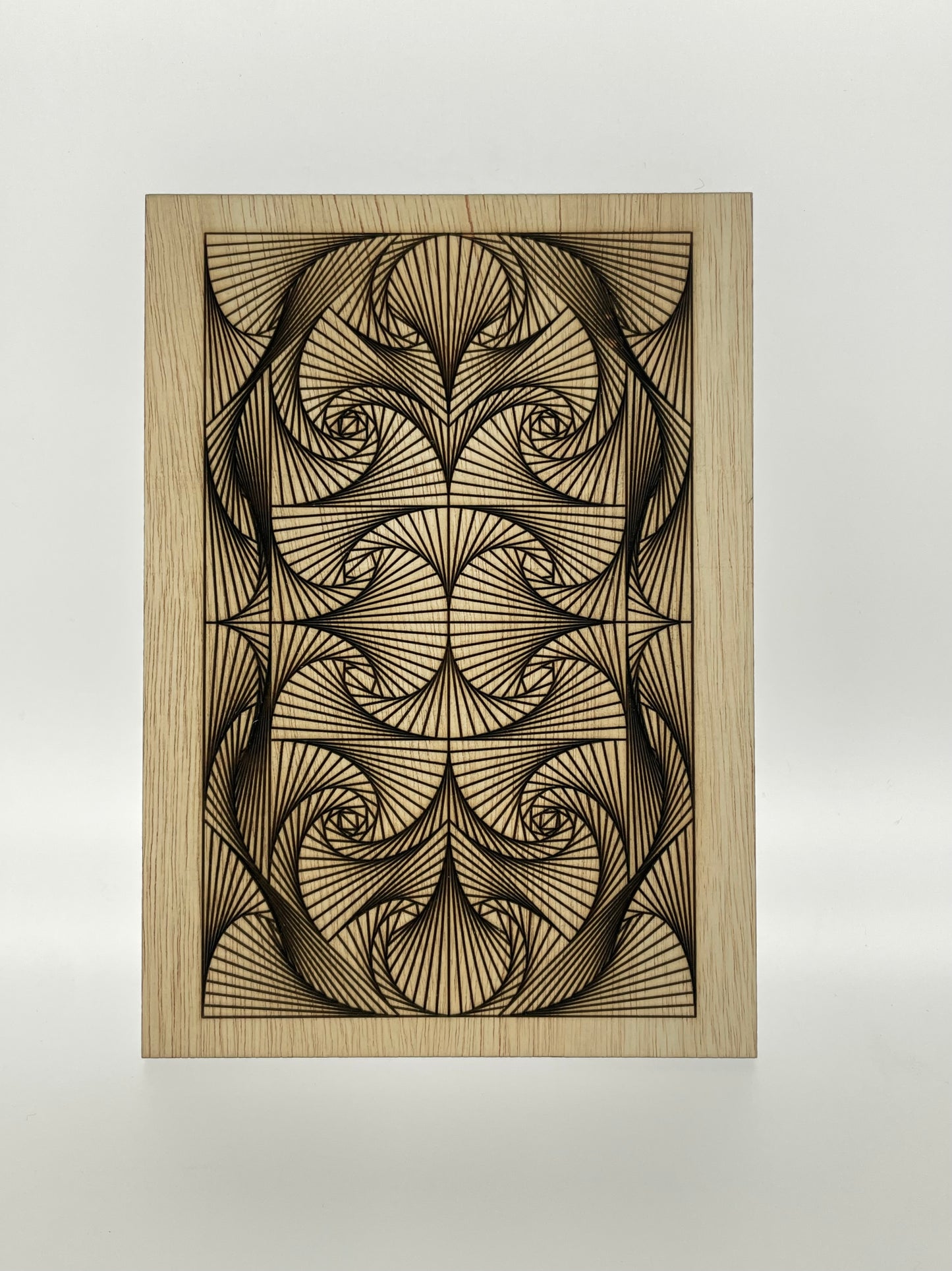 Wooden Illusion Postcard