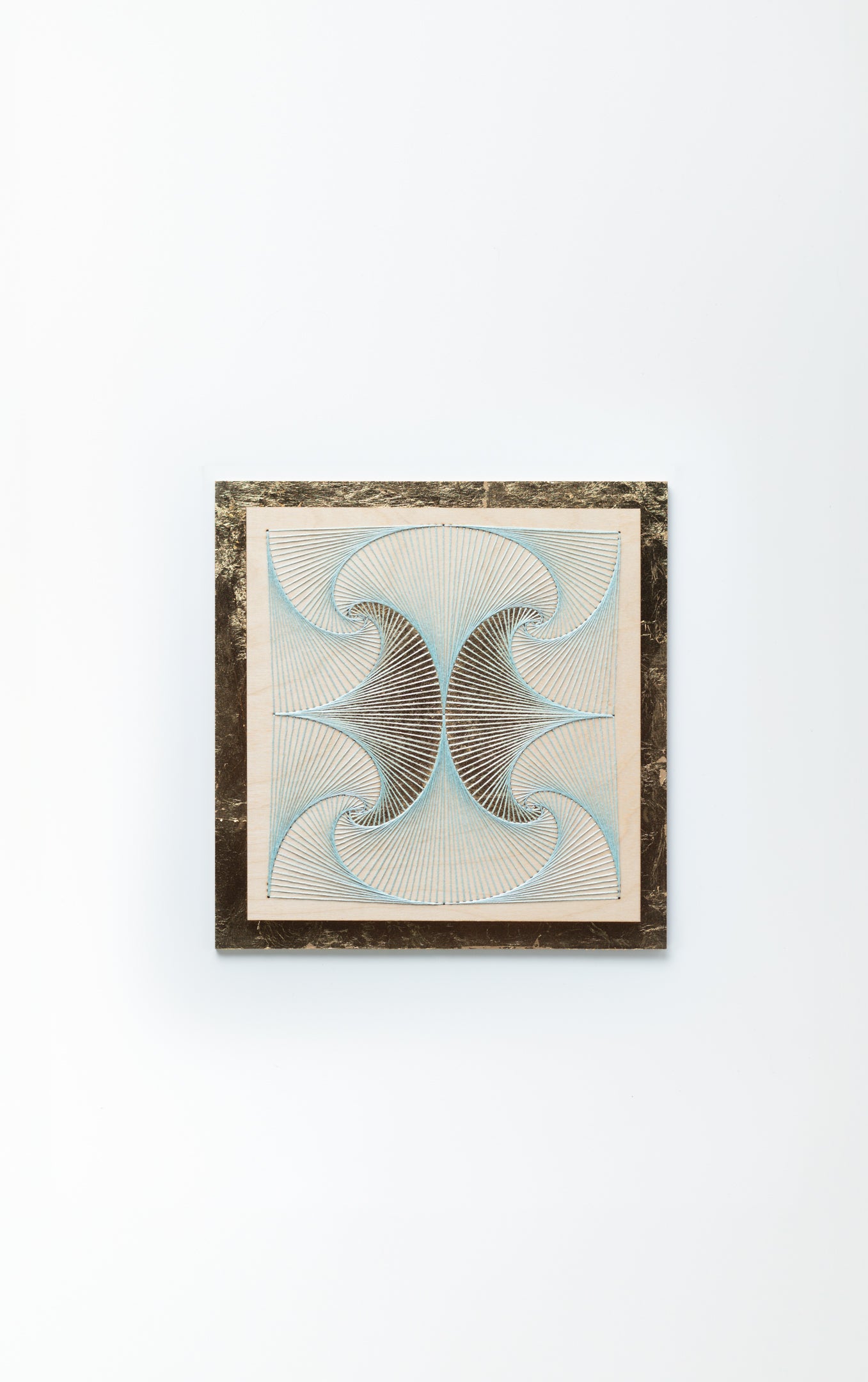 Photo by Martin Safro