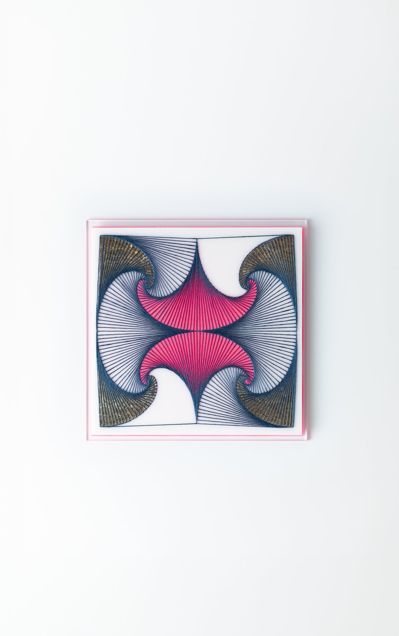 Photo by Martin Safro